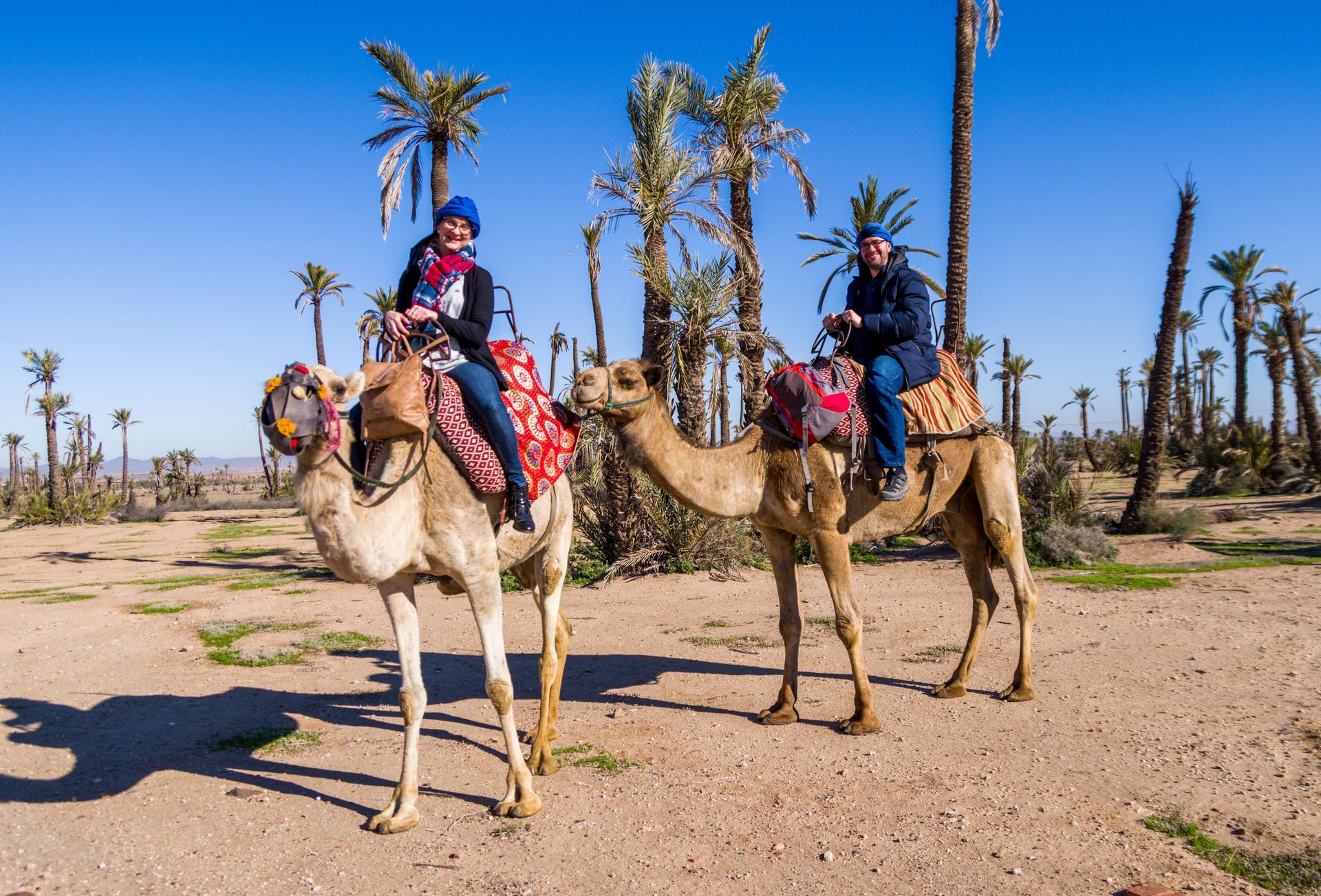 Promenades sur un chameau à la palmeraie à Marrakech