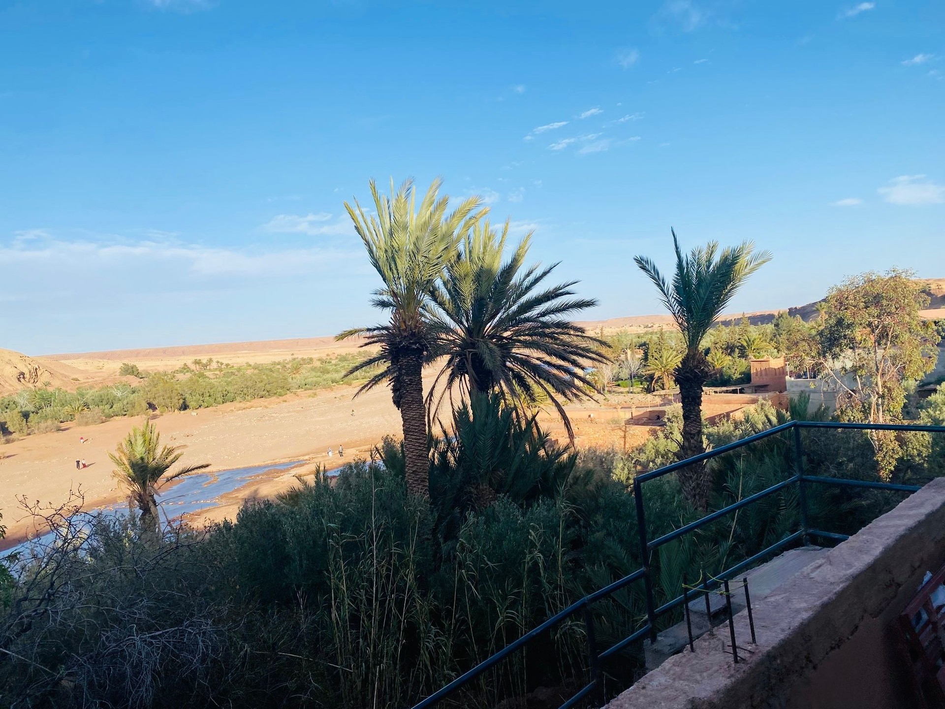 Une oasis sereine dans le désert encadrée de palmiers